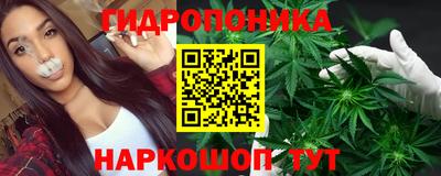 дмт Берёзовский